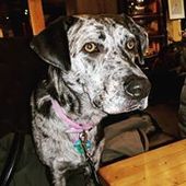 User avatar for Amanda Mott