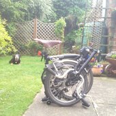 User avatar for Andy King