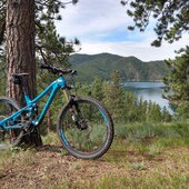 User avatar for Callie Ackerman-Jasper