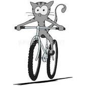 User avatar for Ana Maria Cortazar