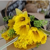 User avatar for Maëlys Bouiller