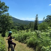 User avatar for Eve Panneton