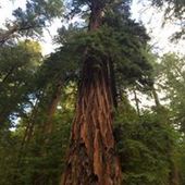 User avatar for Christopher Wessel