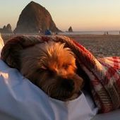 User avatar for Agnieszka Swanson