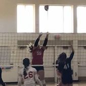 User avatar for Jenny Koenig