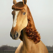 User avatar for Sarah Keefe