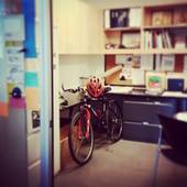 User avatar for Akemi M