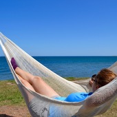 User avatar for Laetitia Gillot