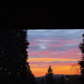 User avatar for Shelley Hartnett