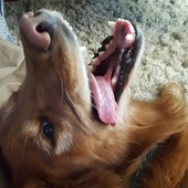 User avatar for Alex Geritz