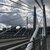 User avatar for Lynn Delatorre