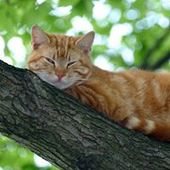 User avatar for Eli Mae