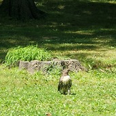 User avatar for Brian Conroy