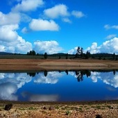 User avatar for Ta Ching Ding