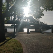 User avatar for Alex Johnson