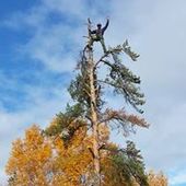 User avatar for David Boulais