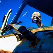 User avatar for Andy Bowman