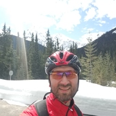 User avatar for Don Wilson