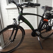 User avatar for Eloim Gutierrez