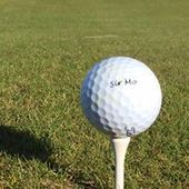 User avatar for Greg Mogavero