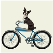 User avatar for Kristin Ring