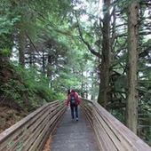 User avatar for Hallie Anderson