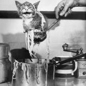 User avatar for Karen Lavers