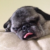 User avatar for Rob Schultz