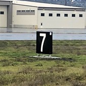 User avatar for Allegra Rosler