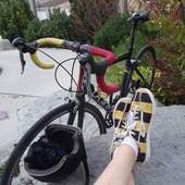 User avatar for Amber K