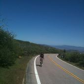 User avatar for Tina Angeles