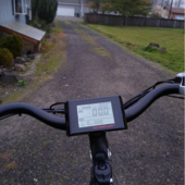 User avatar for Sara Dalotto