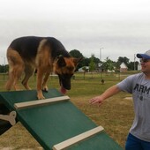 User avatar for Shawn Thompson