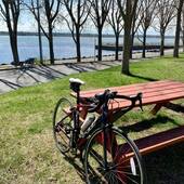 User avatar for Céline Viens