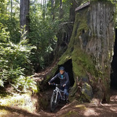 User avatar for Anita McP