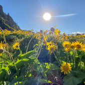 User avatar for Lizzy Rao