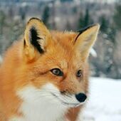 User avatar for Clara Casabona