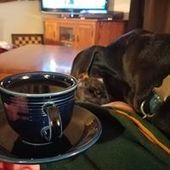 User avatar for Amelia Ward