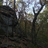 User avatar for Susy Collins