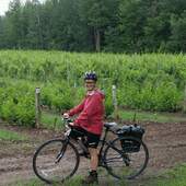 User avatar for Amélie Bélanger