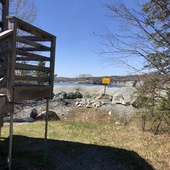 User avatar for Diane Métivier