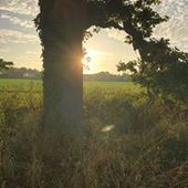 User avatar for Greg David