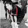 User avatar for Wendi Duncan for comment 54786