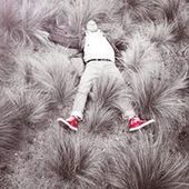 User avatar for Zhivko Dragostinov