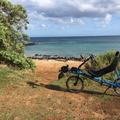 User avatar for Cathy Cramer