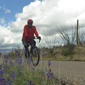 User avatar for Arlen Hall