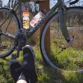 User avatar for Annthea Vining