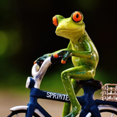 User avatar for Boris Martin