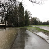 User avatar for Patrick Maréchal