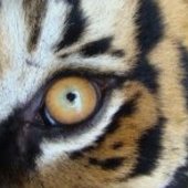 User avatar for Dawn Lamb